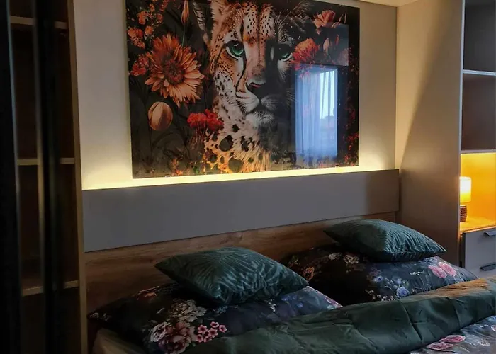 Daire Gwiezdna 15 Legnica